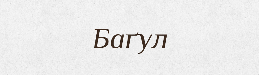 Баґул — Великий тлумачний словник сучасної української мови