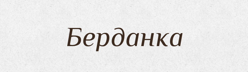 Берданка — Великий тлумачний словник сучасної української мови