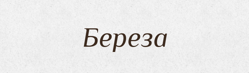 Береза — Великий тлумачний словник сучасної української мови