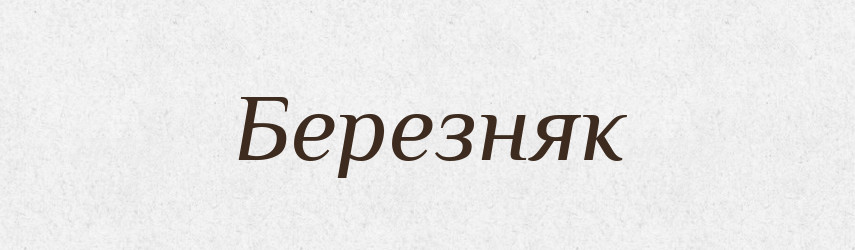 Березняк — Великий тлумачний словник сучасної української мови