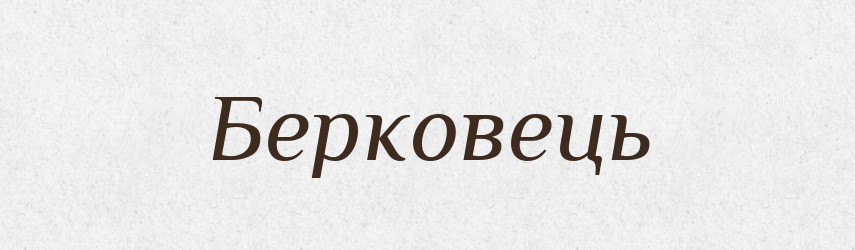 Берковець — Великий тлумачний словник сучасної української мови