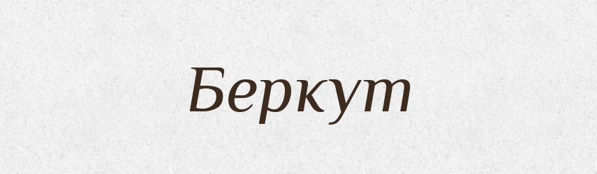 Беркут — Великий тлумачний словник сучасної української мови