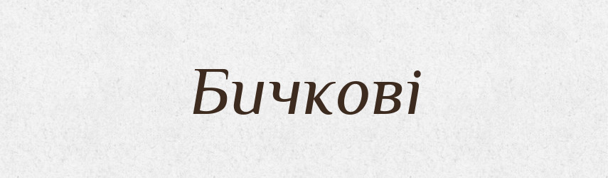 Бичкові — Великий тлумачний словник сучасної української мови