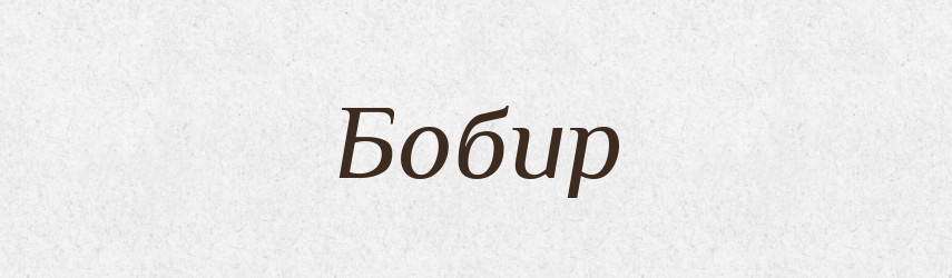 Бобир — Великий тлумачний словник сучасної української мови