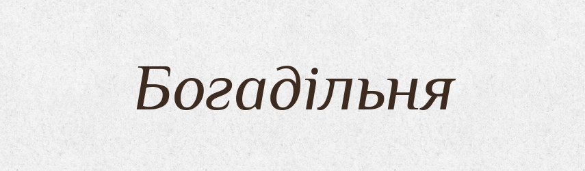 Богадільня — Великий тлумачний словник сучасної української мови