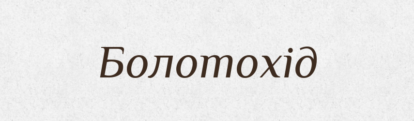 Болотохід — Великий тлумачний словник сучасної української мови