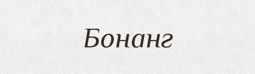 Бонанг — Великий тлумачний словник сучасної української мови