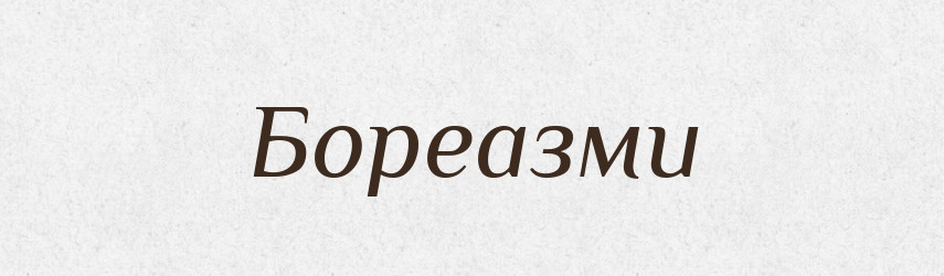 Бореазми — Великий тлумачний словник сучасної української мови