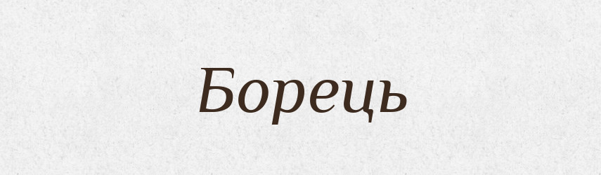 Борець — Великий тлумачний словник сучасної української мови