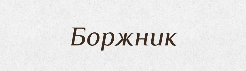 Боржник — Великий тлумачний словник сучасної української мови
