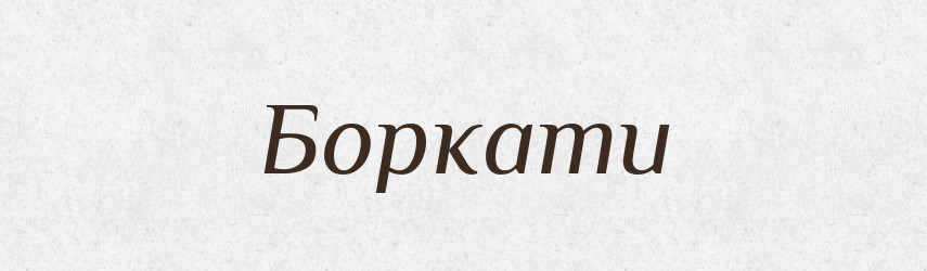 Боркати — Великий тлумачний словник сучасної української мови