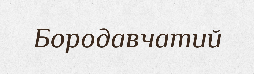 Бородавчатий — Великий тлумачний словник сучасної української мови