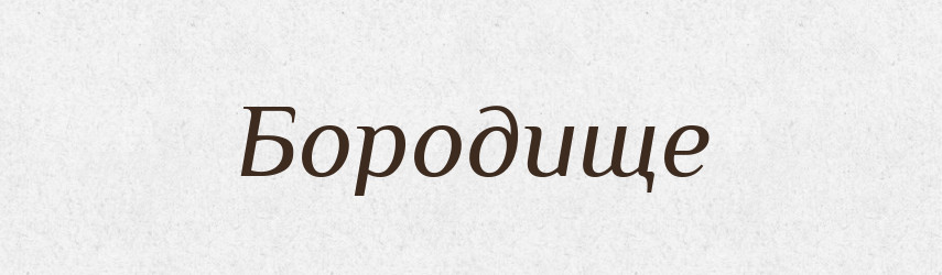 Бородище — Великий тлумачний словник сучасної української мови