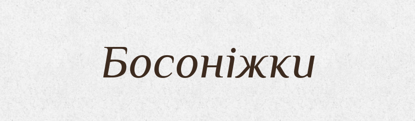 Босоніжки — Великий тлумачний словник сучасної української мови