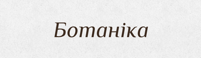 Ботаніка — Великий тлумачний словник сучасної української мови