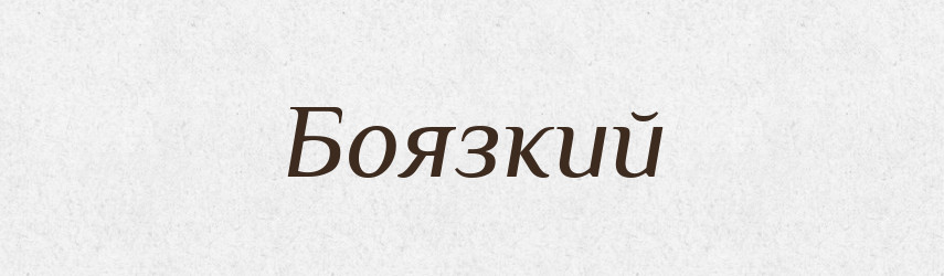 Боязкий — Великий тлумачний словник сучасної української мови