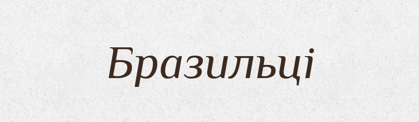 Бразильці — Великий тлумачний словник сучасної української мови