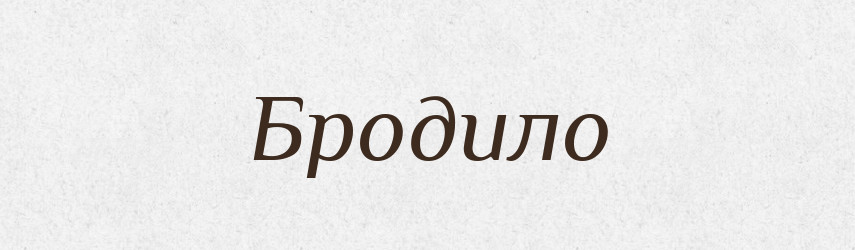 Бродило — Великий тлумачний словник сучасної української мови