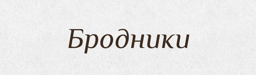 Бродники — Великий тлумачний словник сучасної української мови
