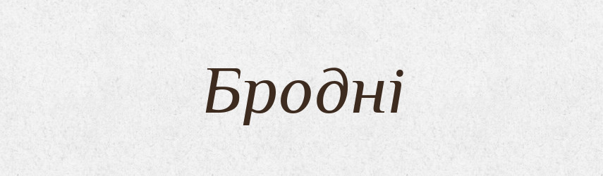 Бродні — Великий тлумачний словник сучасної української мови