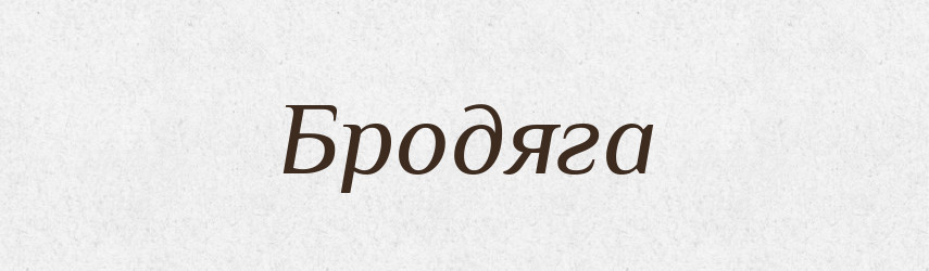 Бродяга — Великий тлумачний словник сучасної української мови