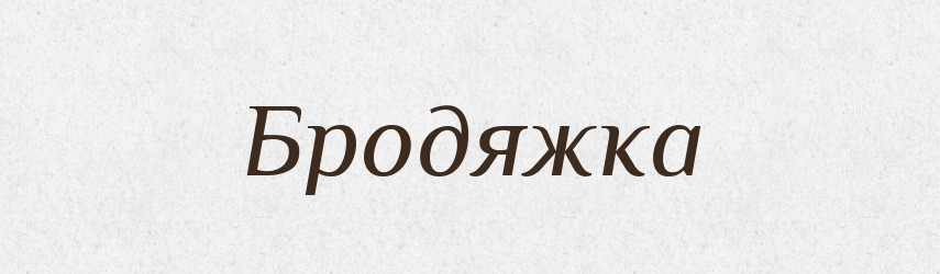 Бродяжка — Великий тлумачний словник сучасної української мови