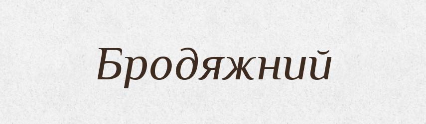 Бродяжний — Великий тлумачний словник сучасної української мови