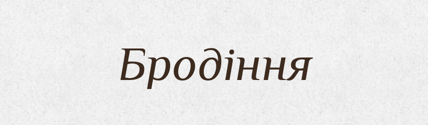 Бродіння — Великий тлумачний словник сучасної української мови