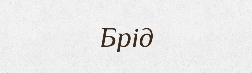 Брід — Великий тлумачний словник сучасної української мови