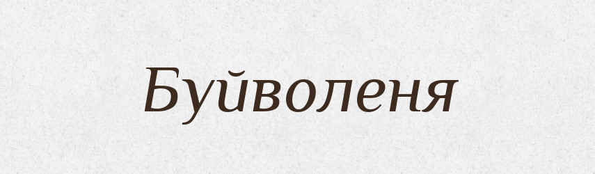 Буйволеня — Великий тлумачний словник сучасної української мови
