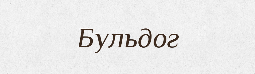 Бульдог — Великий тлумачний словник сучасної української мови
