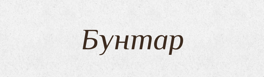 Бунтар — Великий тлумачний словник сучасної української мови