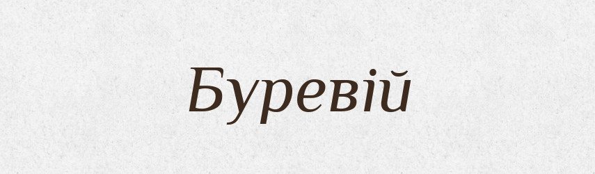 Буревій — Великий тлумачний словник сучасної української мови