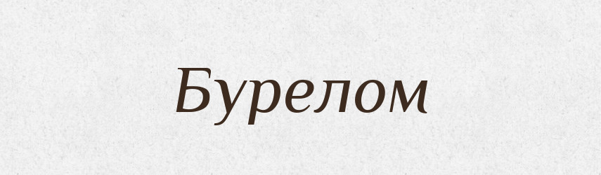 Бурелом — Великий тлумачний словник сучасної української мови
