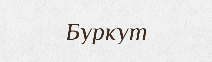 Буркут — Великий тлумачний словник сучасної української мови