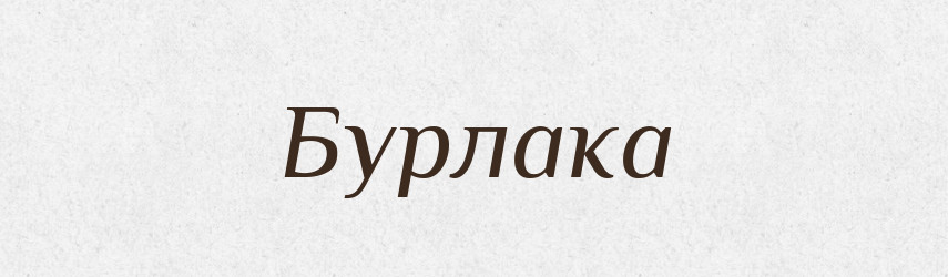 Бурлака — Великий тлумачний словник сучасної української мови