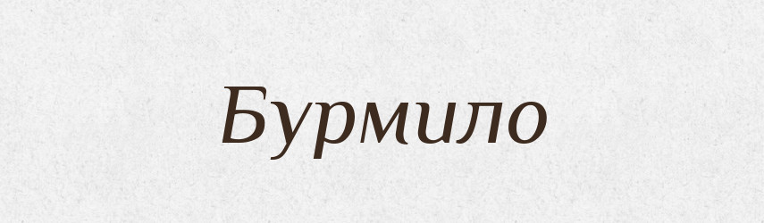 Бурмило — Великий тлумачний словник сучасної української мови