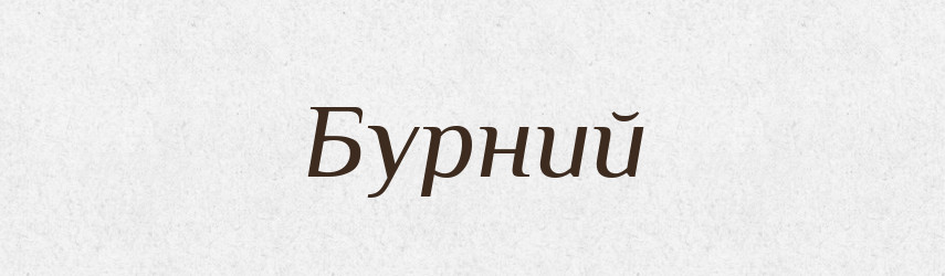 Бурний — Великий тлумачний словник сучасної української мови