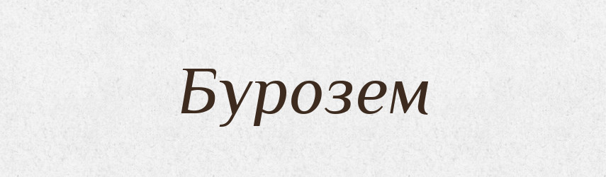 Бурозем — Великий тлумачний словник сучасної української мови