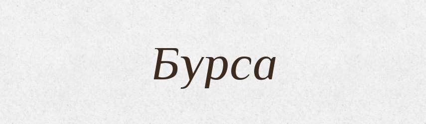 Бурса — Великий тлумачний словник сучасної української мови