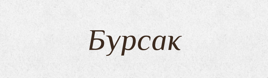 Бурсак — Великий тлумачний словник сучасної української мови