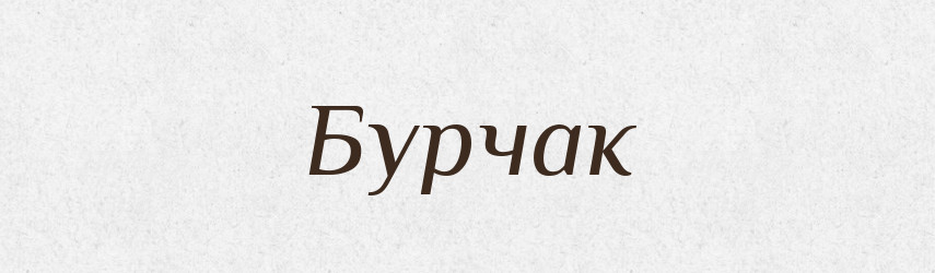 Бурчак — Великий тлумачний словник сучасної української мови