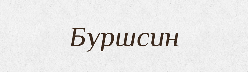 Буршсин — Великий тлумачний словник сучасної української мови