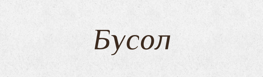 Бусол — Великий тлумачний словник сучасної української мови