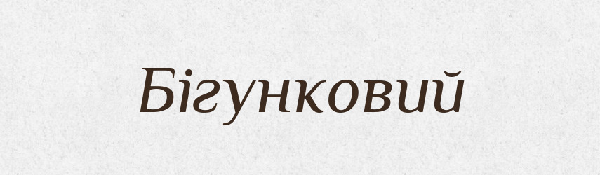 Бігунковий — Великий тлумачний словник сучасної української мови