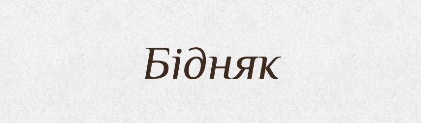 Бідняк — Великий тлумачний словник сучасної української мови