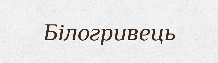 Білогривець — Великий тлумачний словник сучасної української мови