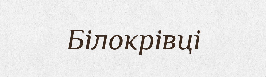 Білокрівці — Великий тлумачний словник сучасної української мови