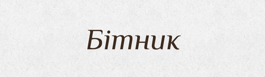 Бітник — Великий тлумачний словник сучасної української мови