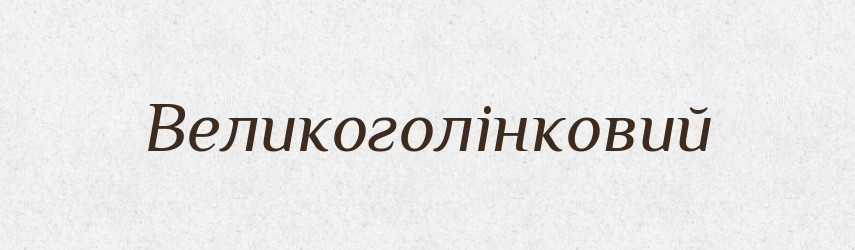 Великоголінковий — Великий тлумачний словник сучасної української мови